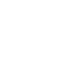 Xdome